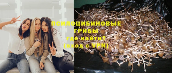 не бодяженный Армянск